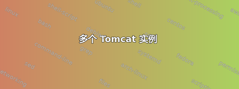 多个 Tomcat 实例