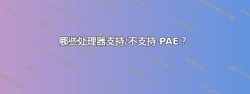 哪些处理器支持/不支持 PAE？