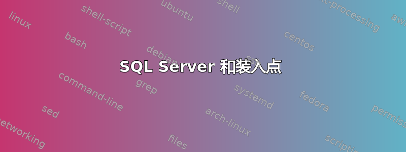 SQL Server 和装入点