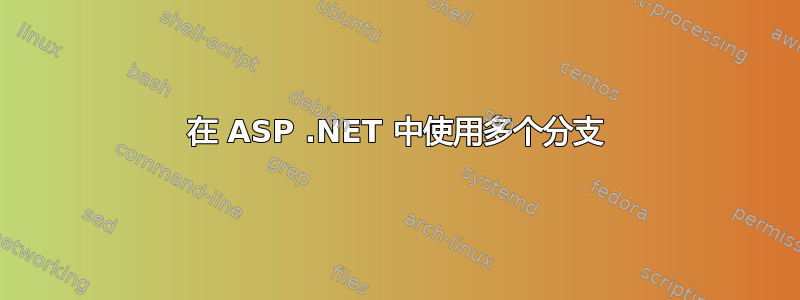 在 ASP .NET 中使用多个分支