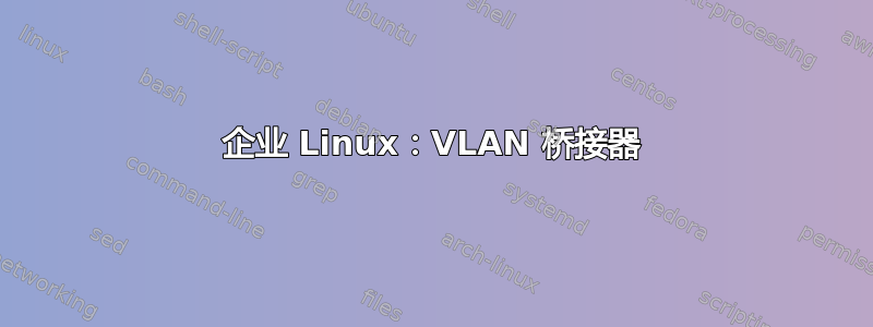 企业 Linux：VLAN 桥接器