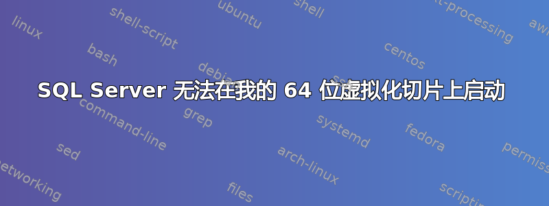 SQL Server 无法在我的 64 位虚拟化切片上启动