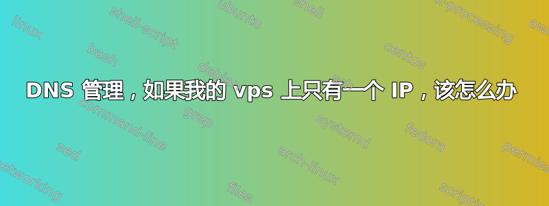 DNS 管理，如果我的 vps 上只有一个 IP，该怎么办