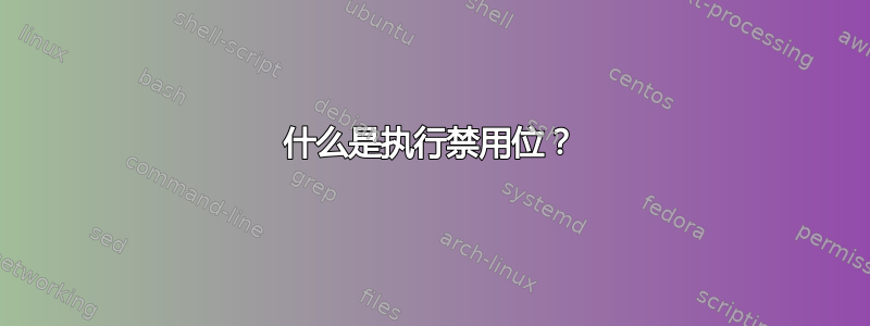 什么是执行禁用位？