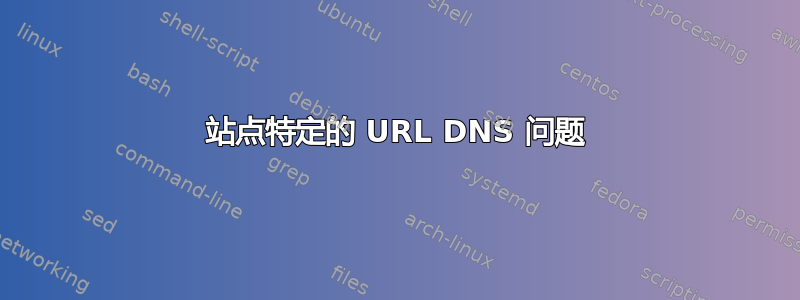 站点特定的 URL DNS 问题