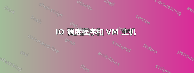 IO 调度程序和 VM 主机