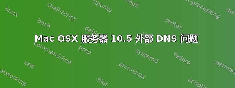 Mac OSX 服务器 10.5 外部 DNS 问题