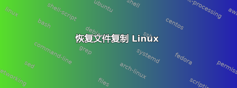 恢复文件复制 Linux