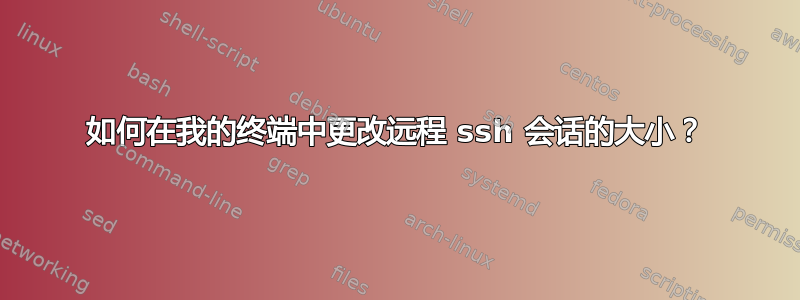 如何在我的终端中更改远程 ssh 会话的大小？