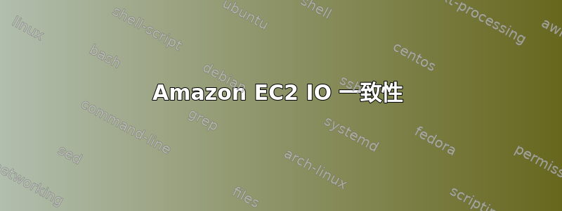 Amazon EC2 IO 一致性