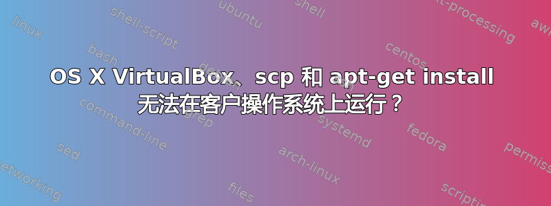 OS X VirtualBox、scp 和 apt-get install 无法在客户操作系统上运行？