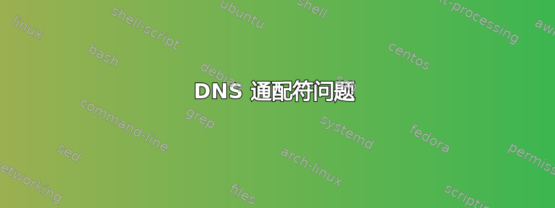 DNS 通配符问题