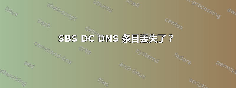 SBS DC DNS 条目丢失了？