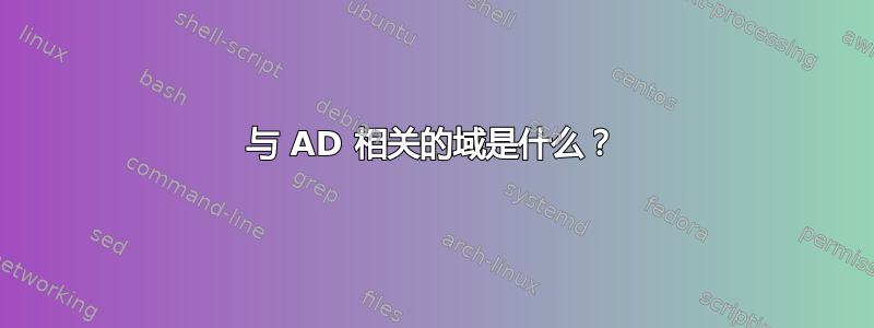 与 AD 相关的域是什么？