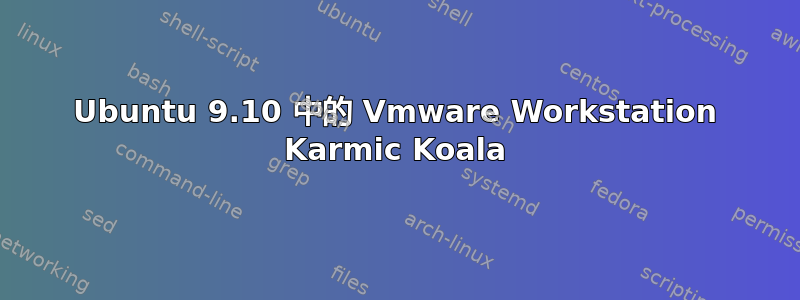 Ubuntu 9.10 中的 Vmware Workstation Karmic Koala