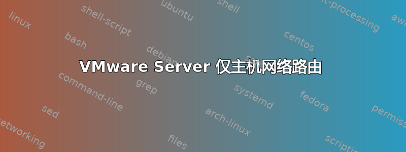 VMware Server 仅主机网络路由