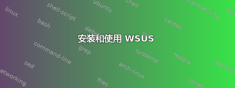 安装和使用 WSUS