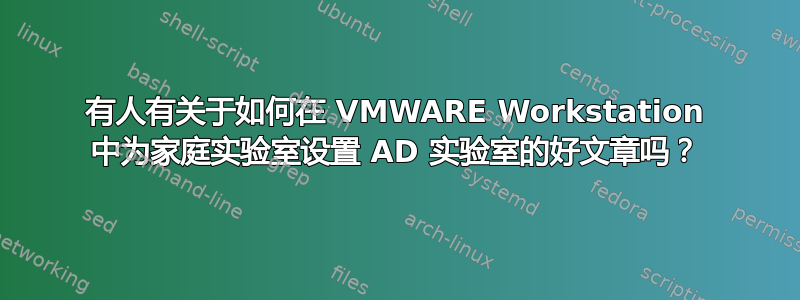 有人有关于如何在 VMWARE Workstation 中为家庭实验室设置 AD 实验室的好文章吗？