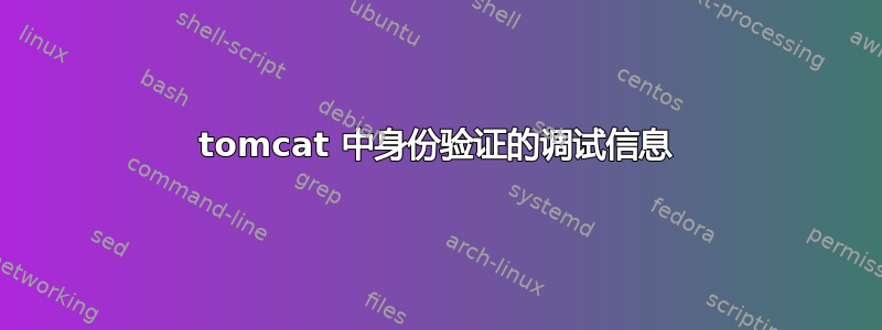 tomcat 中身份验证的调试信息