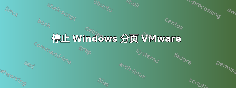 停止 Windows 分页 VMware