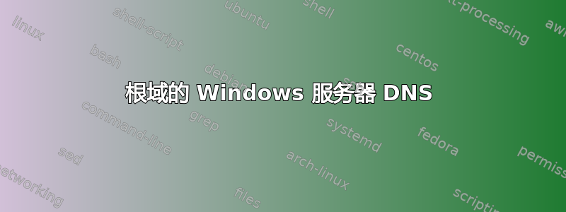 根域的 Windows 服务器 DNS