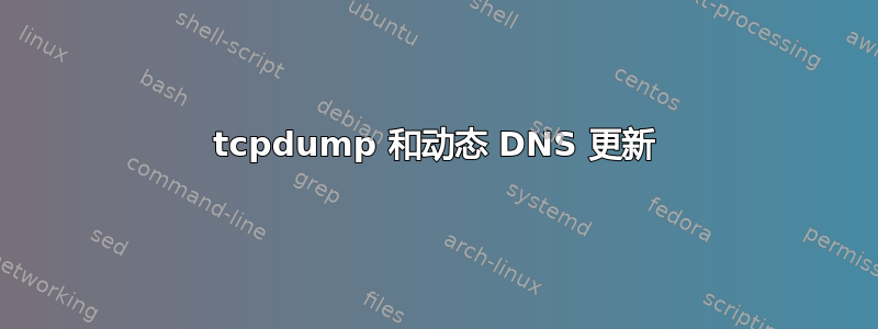 tcpdump 和动态 DNS 更新