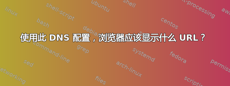 使用此 DNS 配置，浏览器应该显示什么 URL？