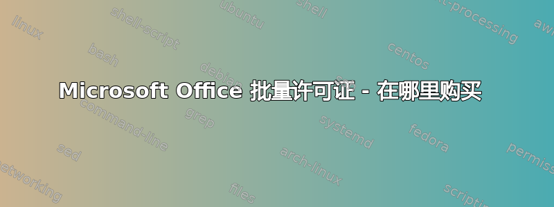 Microsoft Office 批量许可证 - 在哪里购买 