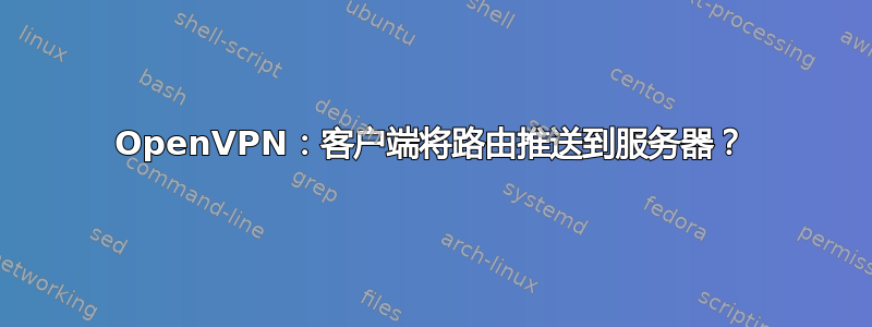 OpenVPN：客户端将路由推送到服务器？