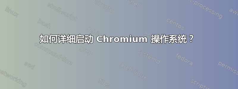 如何详细启动 Chromium 操作系统？