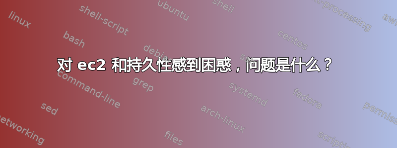 对 ec2 和持久性感到困惑，问题是什么？