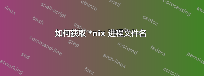 如何获取 *nix 进程文件名