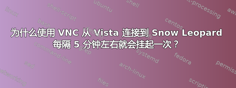 为什么使用 VNC 从 Vista 连接到 Snow Leopard 每隔 5 分钟左右就会挂起一次？