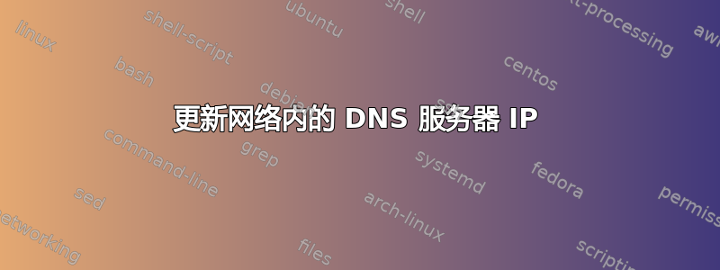 更新网络内的 DNS 服务器 IP