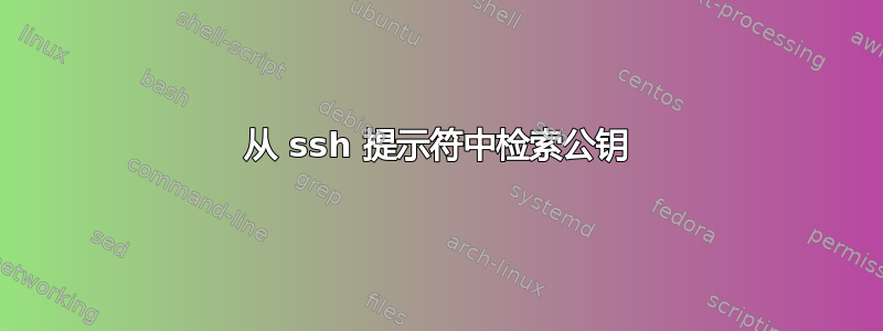 从 ssh 提示符中检索公钥