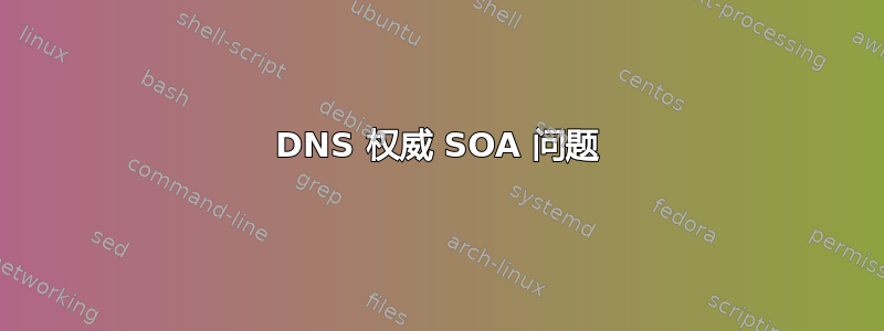 DNS 权威 SOA 问题