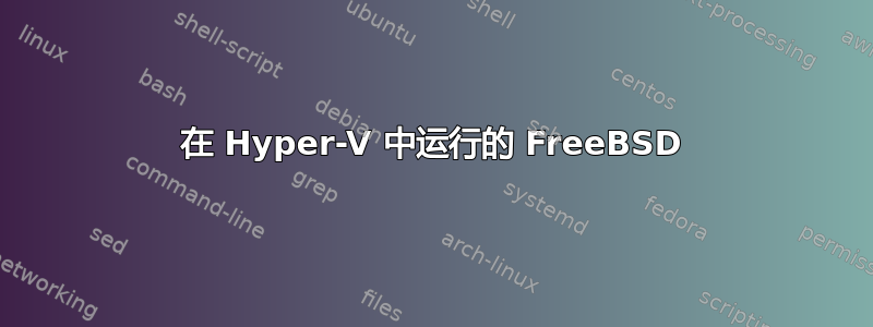 在 Hyper-V 中运行的 FreeBSD