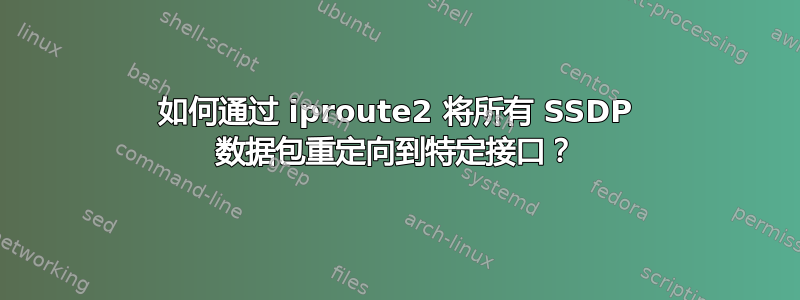 如何通过 iproute2 将所有 SSDP 数据包重定向到特定接口？