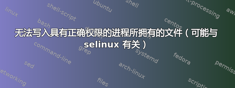 无法写入具有正确权限的进程所拥有的文件（可能与 selinux 有关）