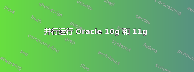 并行运行 Oracle 10g 和 11g