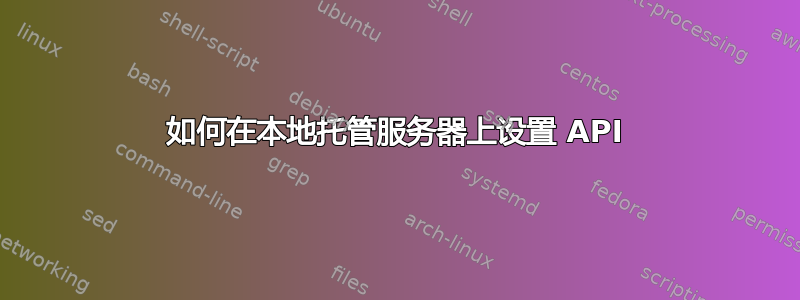 如何在本地托管服务器上设置 API