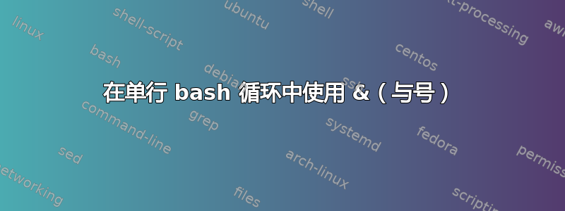 在单行 bash 循环中使用 &（与号）