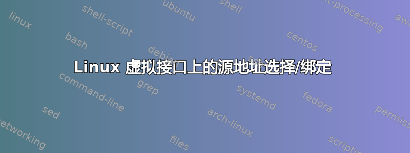 Linux 虚拟接口上的源地址选择/绑定