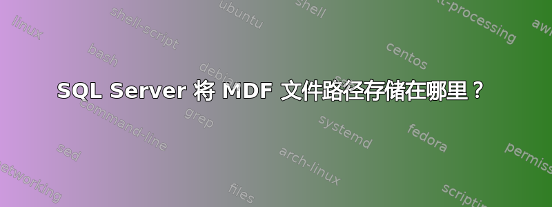 SQL Server 将 MDF 文件路径存储在哪里？