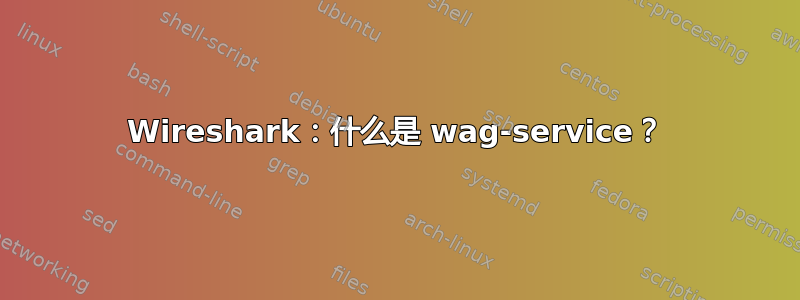 Wireshark：什么是 wag-service？