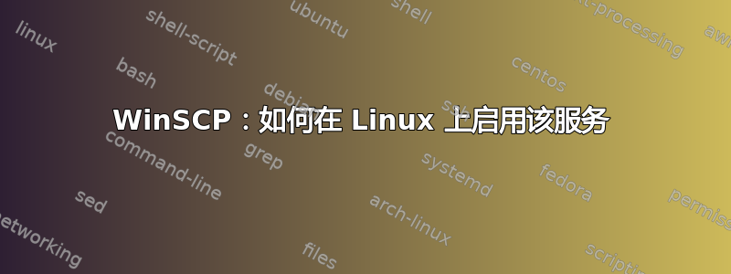 WinSCP：如何在 Linux 上启用该服务