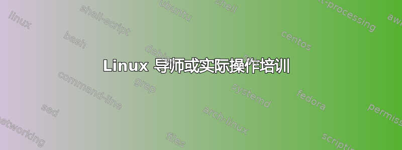 Linux 导师或实际操作培训 