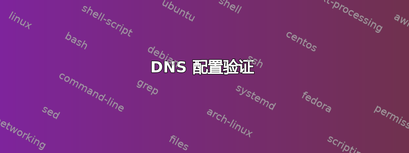 DNS 配置验证