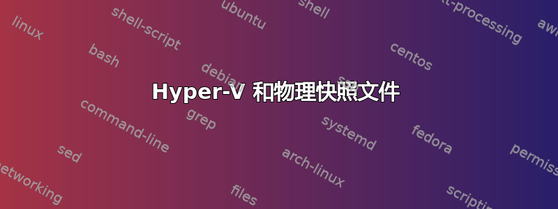 Hyper-V 和物理快照文件