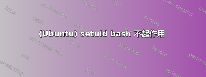 (Ubuntu) setuid bash 不起作用